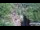 Webcam in Jiaozuo, 549.8 km