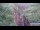 Webcam in Jiaozuo, 733.6 km