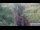 Webcam in Jiaozuo, 733.6 km