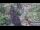 Webcam in Jiaozuo, 349.5 km