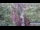 Webcam in Jiaozuo, 215.1 mi away