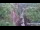 Webcam in Jiaozuo, 134.8 mi away