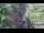 Webcam in Jiaozuo, 471.2 km