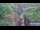 Webcam in Jiaozuo, 215.1 mi away