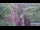 Webcam in Jiaozuo, 733.4 km