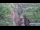 Webcam in Jiaozuo, 733.6 km