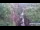 Webcam in Jiaozuo, 733.6 km