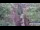 Webcam in Jiaozuo, 215.1 mi away