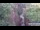 Webcam in Jiaozuo, 349.5 km