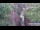Webcam in Jiaozuo, 611.1 km