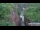 Webcam in Jiaozuo, 423.7 km