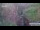 Webcam in Jiaozuo, 549.8 km