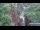 Webcam in Jiaozuo, 80.3 km