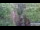 Webcam in Jiaozuo, 927.4 km entfernt