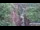 Webcam in Jiaozuo, 733.4 km