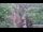 Webcam in Jiaozuo, 733.6 km