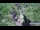 Webcam in Jiaozuo, 224.7 mi away