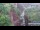 Webcam in Jiaozuo, 80.3 km