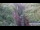 Webcam in Jiaozuo, 80.3 km