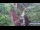 Webcam in Jiaozuo, 80.3 km