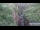 Webcam in Jiaozuo, 80.3 km