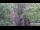 Webcam in Jiaozuo, 423.7 km entfernt