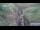 Webcam in Jiaozuo, 618.1 km