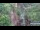 Webcam in Jiaozuo, 722.1 km