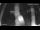 Webcam in Fonteblanda, 31.5 km