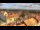 Webcam in Bad Langensalza, 11.3 mi away