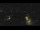 Webcam in Bad Langensalza, 29.4 km