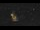 Webcam in Bad Langensalza, 11.3 mi away