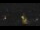 Webcam in Bad Langensalza, 27 km entfernt