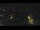Webcam in Bad Langensalza, 11.3 mi away