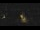 Webcam in Bad Langensalza, 30.8 km entfernt