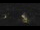 Webcam in Bad Langensalza, 29.4 km entfernt