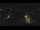 Webcam in Bad Langensalza, 11.3 mi away