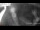 Webcam in Rotterdam, 2.5 km entfernt
