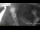 Webcam in Rotterdam, 10.7 mi away