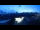 Webcam in Riffelalp, 3.4 km