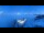 Webcam in Riffelalp, 6.5 km entfernt