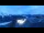 Webcam in Riffelalp, 3.9 km