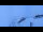 Webcam in Riffelalp, 1.6 km