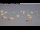 Webcam in Plouézec, 14.8 km
