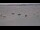 Webcam in Plouézec, 14.8 km
