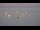 Webcam in Plouézec, 11.6 mi away