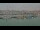 Webcam in Saint-Pierre-d'Oléron, 24.6 km entfernt