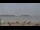 Webcam in Essaouira, 0.3 km