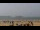 Webcam in Essaouira, 106.2 km