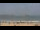Webcam in Essaouira, 106.2 km